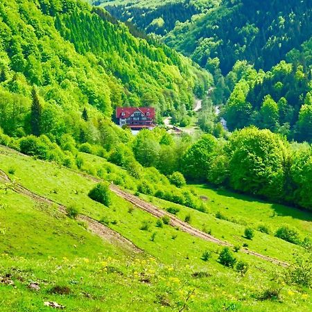 Cabana Izvoarele Doftanei Trăisteni 外观 照片