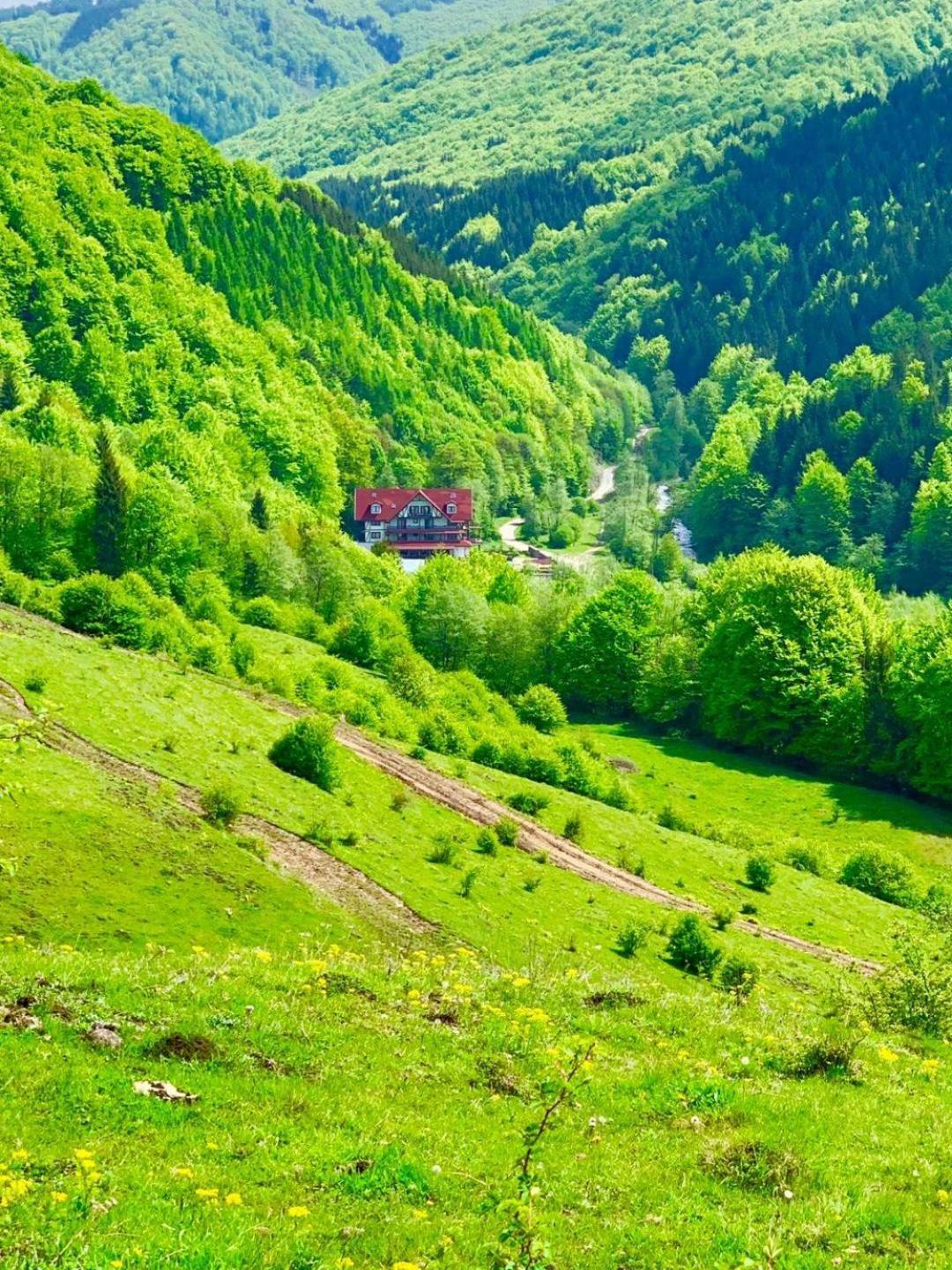 Cabana Izvoarele Doftanei Trăisteni 外观 照片